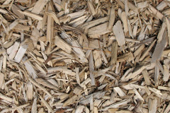 biomass boilers Whitechurch Maund